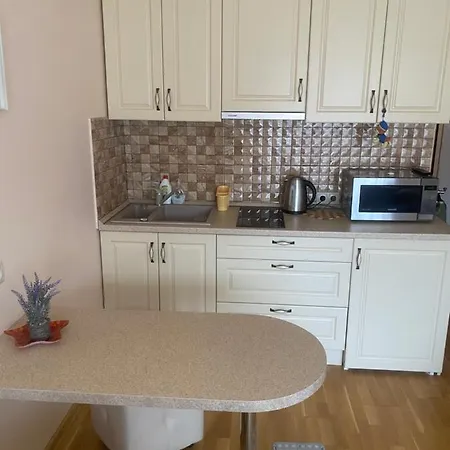 Plukiu 2a Apartamentai Palangoje *