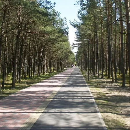 Plukiu 2a Apartamentai Palangoje Palanga