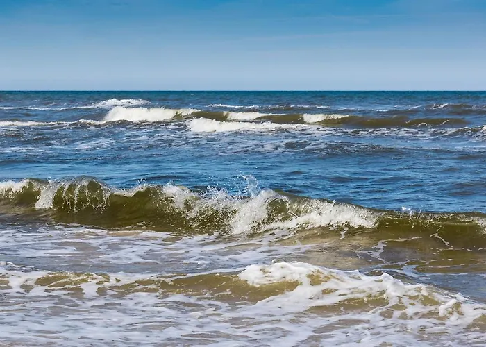 Plukiu 2a Apartamentai Palangoje