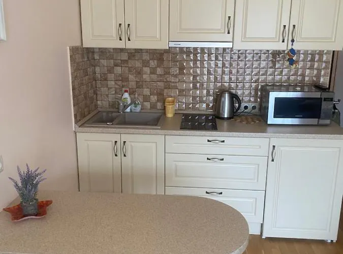 Plukiu 2a Apartamentai Palangoje *