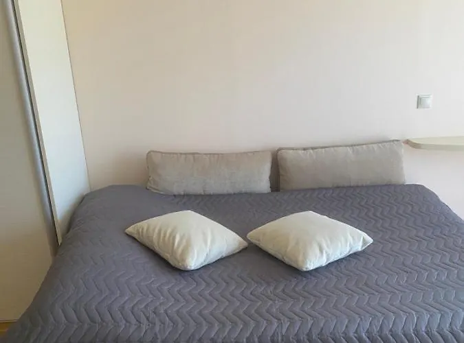 Plukiu 2a Apartamentai Palangoje פלאנגה