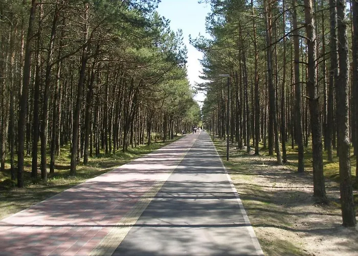 Plukiu 2a Apartamentai Palangoje פלאנגה